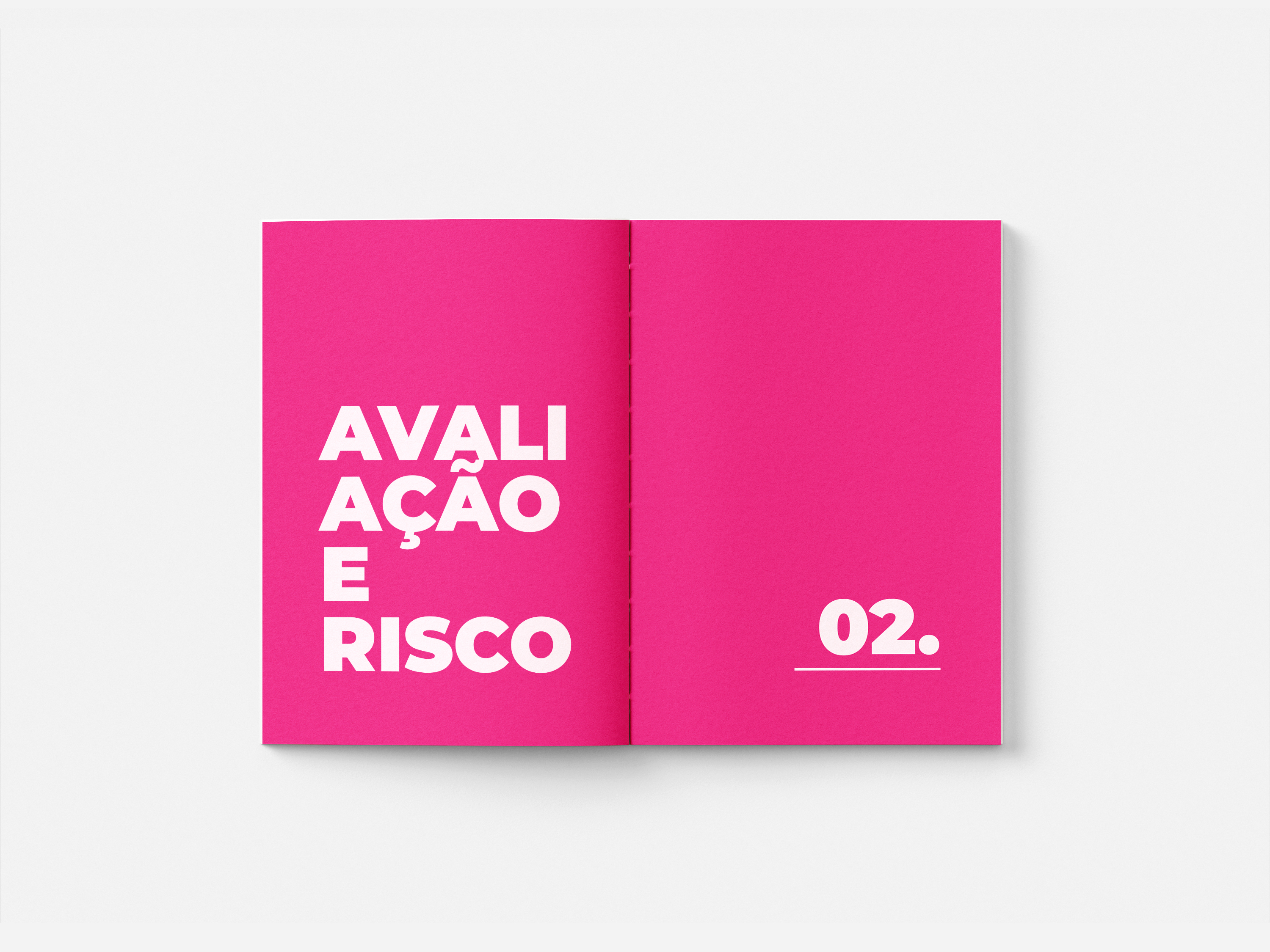 Livro 2 - imagem 13 do projeto MitOConexão